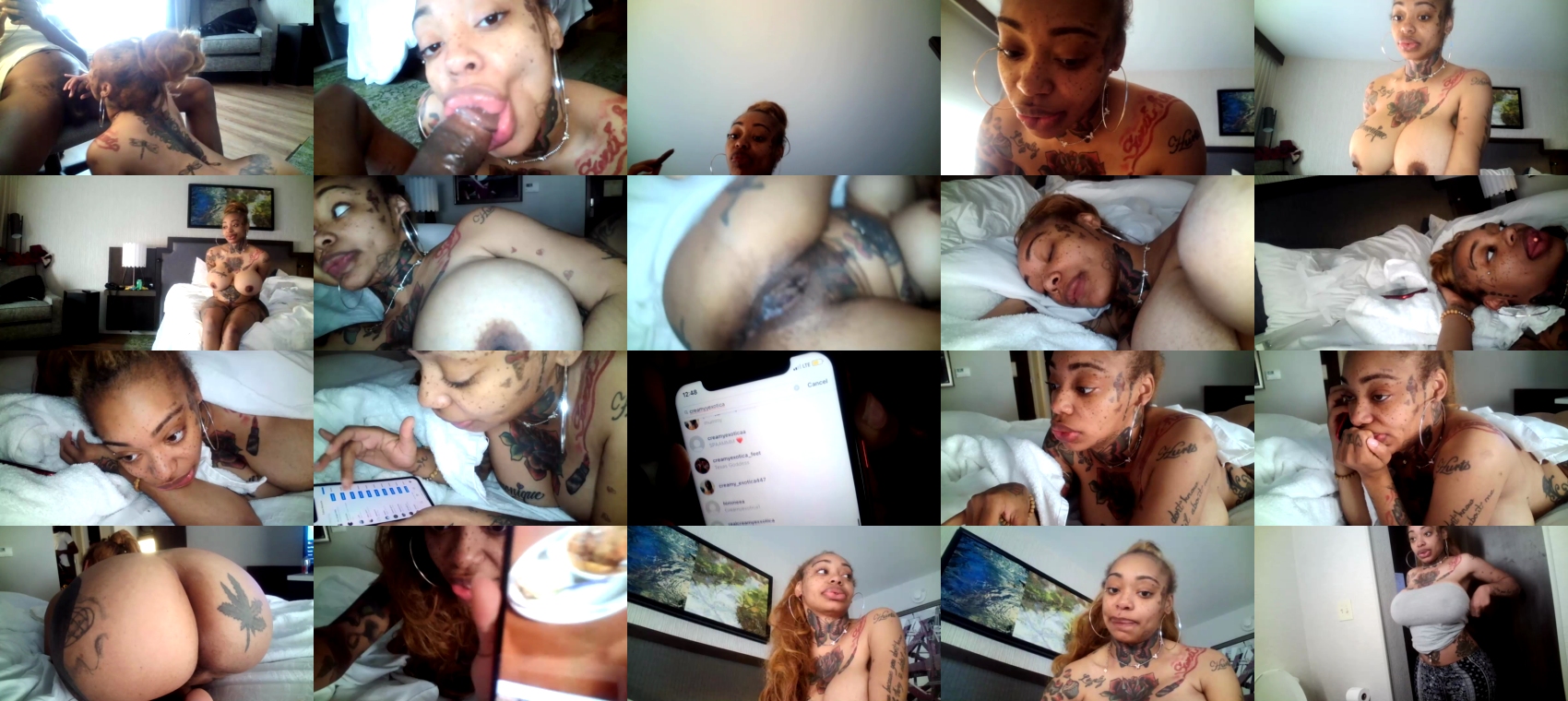 creamyexotica  19-11-2022